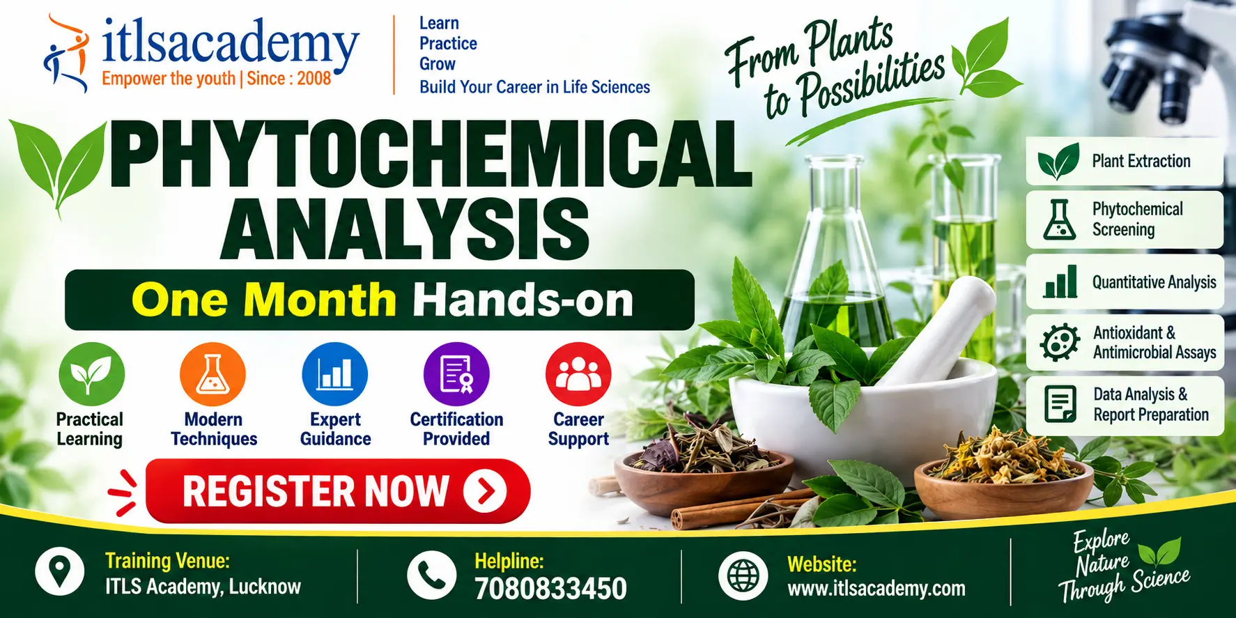 Phytochemical Analysis
